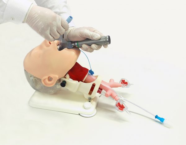 Difficult Airway Management Simulator Demonstration Dmed