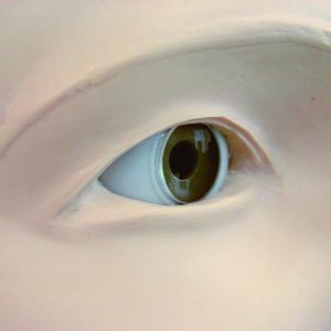 Eye Examination Simulator (3 step) - Image 4