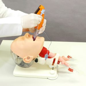 Difficult Airway Management Simulator - Demonstration - Image 4