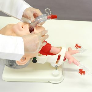 Difficult Airway Management Simulator - Demonstration - Image 6