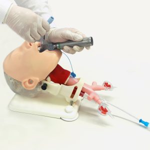 Difficult Airway Management Simulator - Demonstration - Image 2