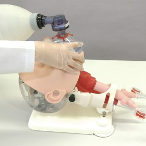 Difficult Airway Management Simulator - Demonstration - Image 3