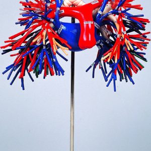 Bronchus and Pulmonary Vessels Model - Image 3