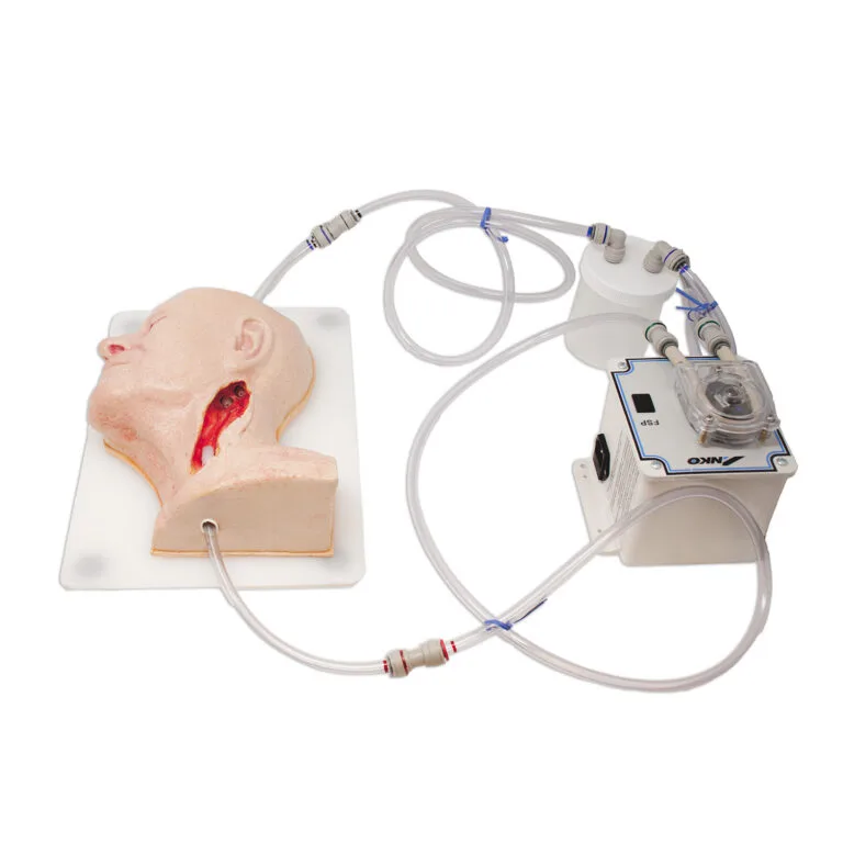 Carotid Head Simulator - Image 5