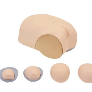 Uterine Involution Assessment Simulator