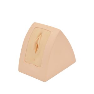 Perineorrhaphy Simulator - Image 2
