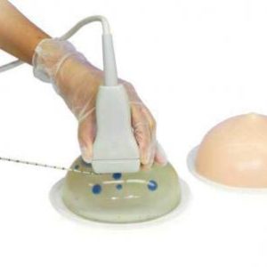 Breast Biopsy Training Model