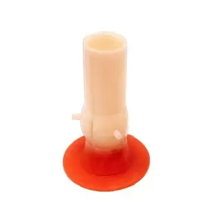 Aortic Valve Model