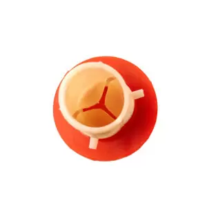 Aortic Valve Model - Image 2
