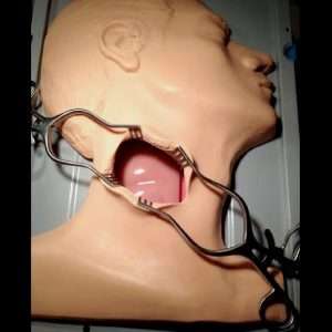 Head Model & Carotid Artery Inlay
