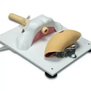 Vesico-Urethral Base