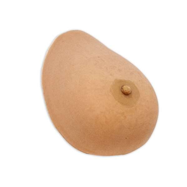 Breast Model