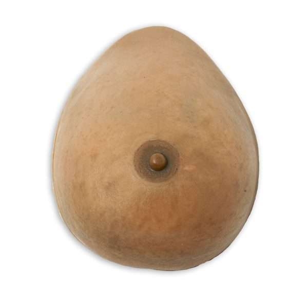 Breast Model - Image 3